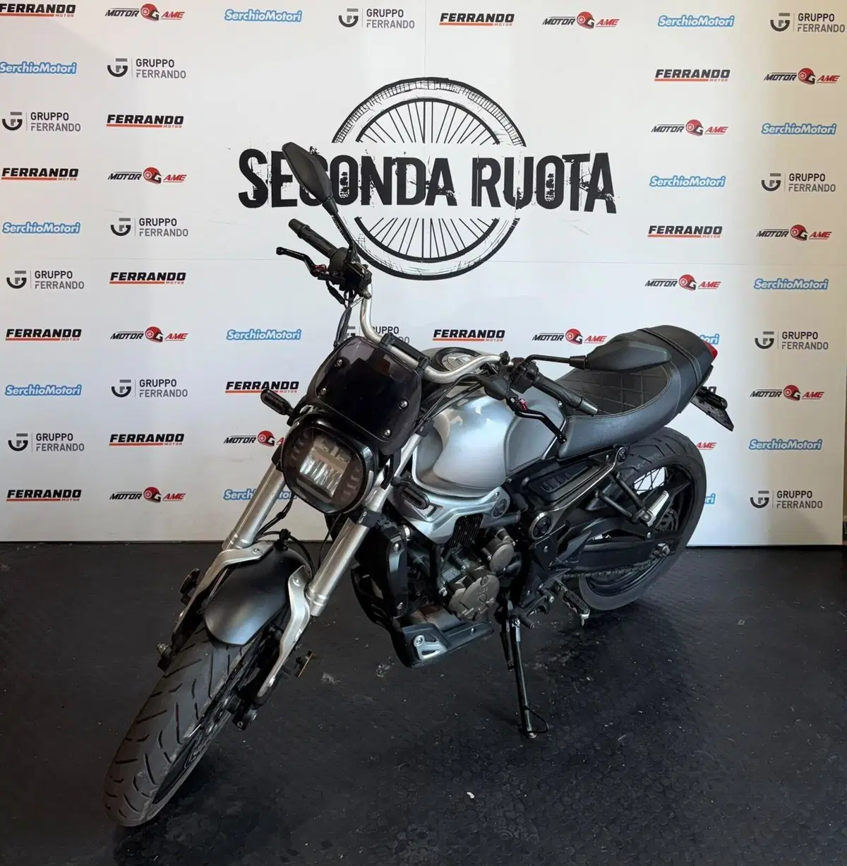Voge Trofeo 300ACX Scrambler (2021 - 26) (3)