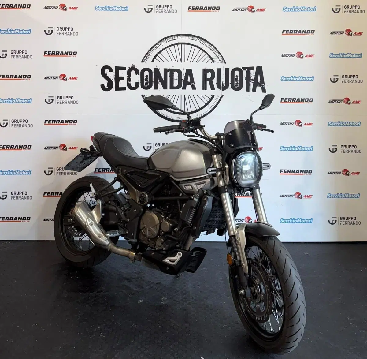 Voge Trofeo 300ACX Scrambler (2021 - 26) (4)