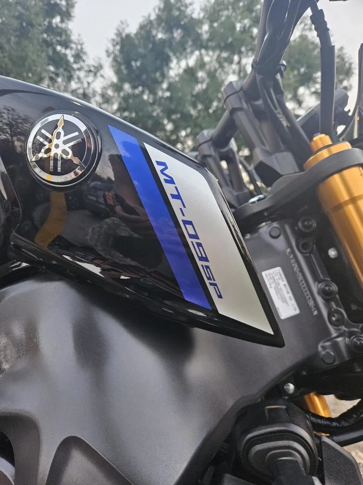 Yamaha MT-09 SP (2021 - 23) (5)