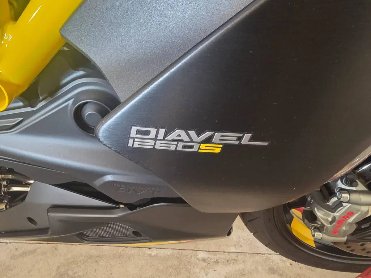 Ducati Diavel 1260 S (2021 - 22) (6)