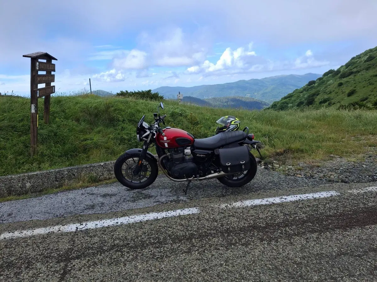 Triumph Street Twin 900 (2016) (3)