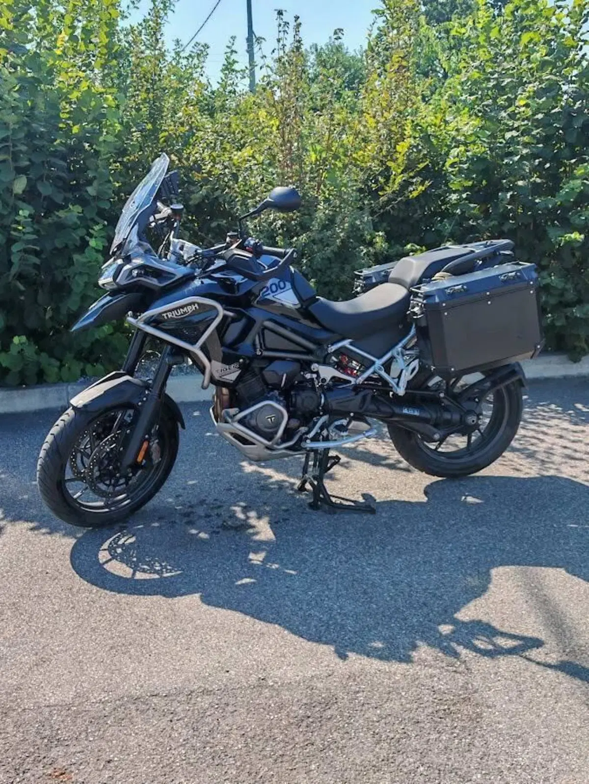 Triumph Tiger 1200 GT Pro (2024 - 26) (3)