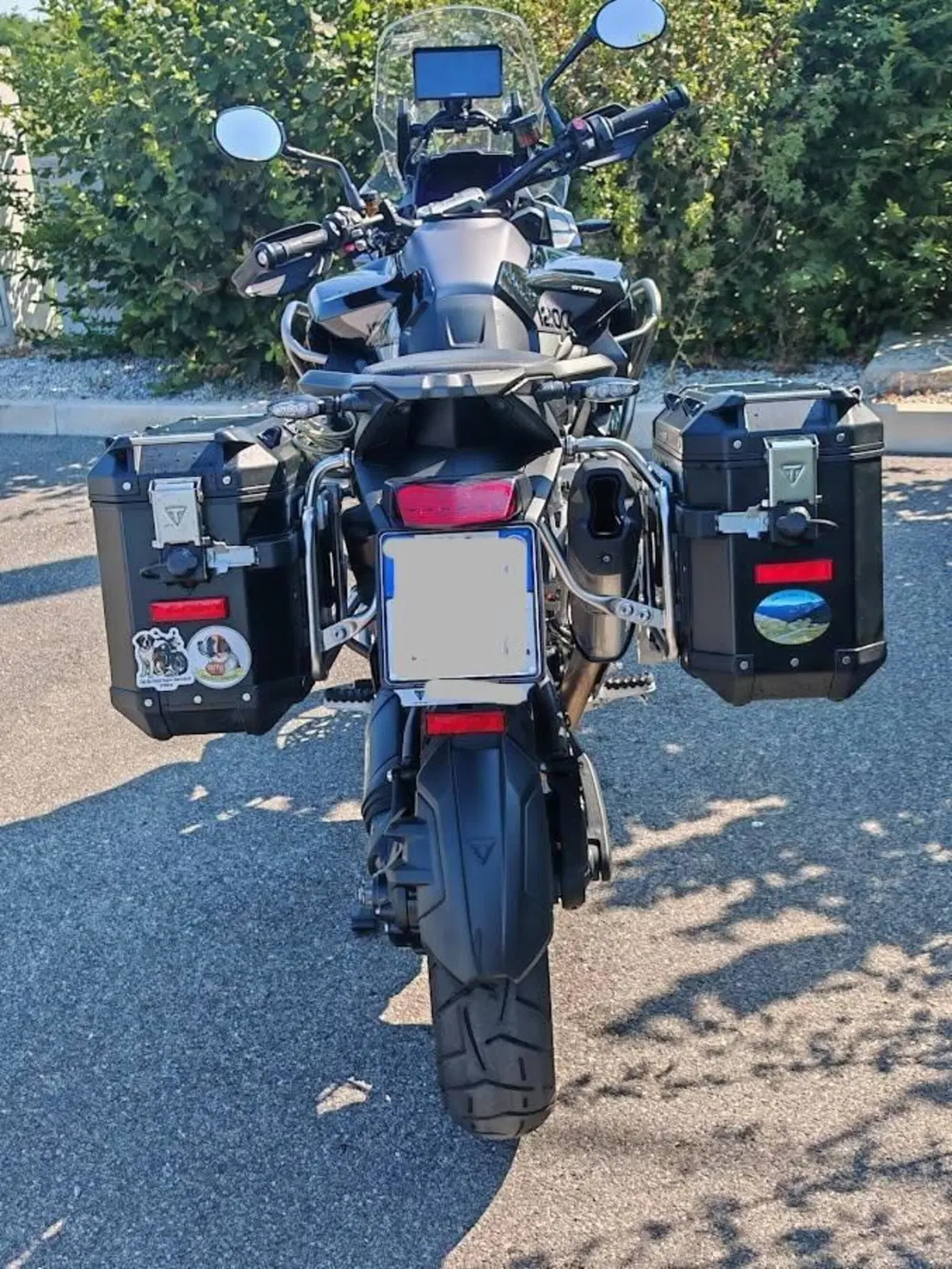Triumph Tiger 1200 GT Pro (2024 - 26) (4)