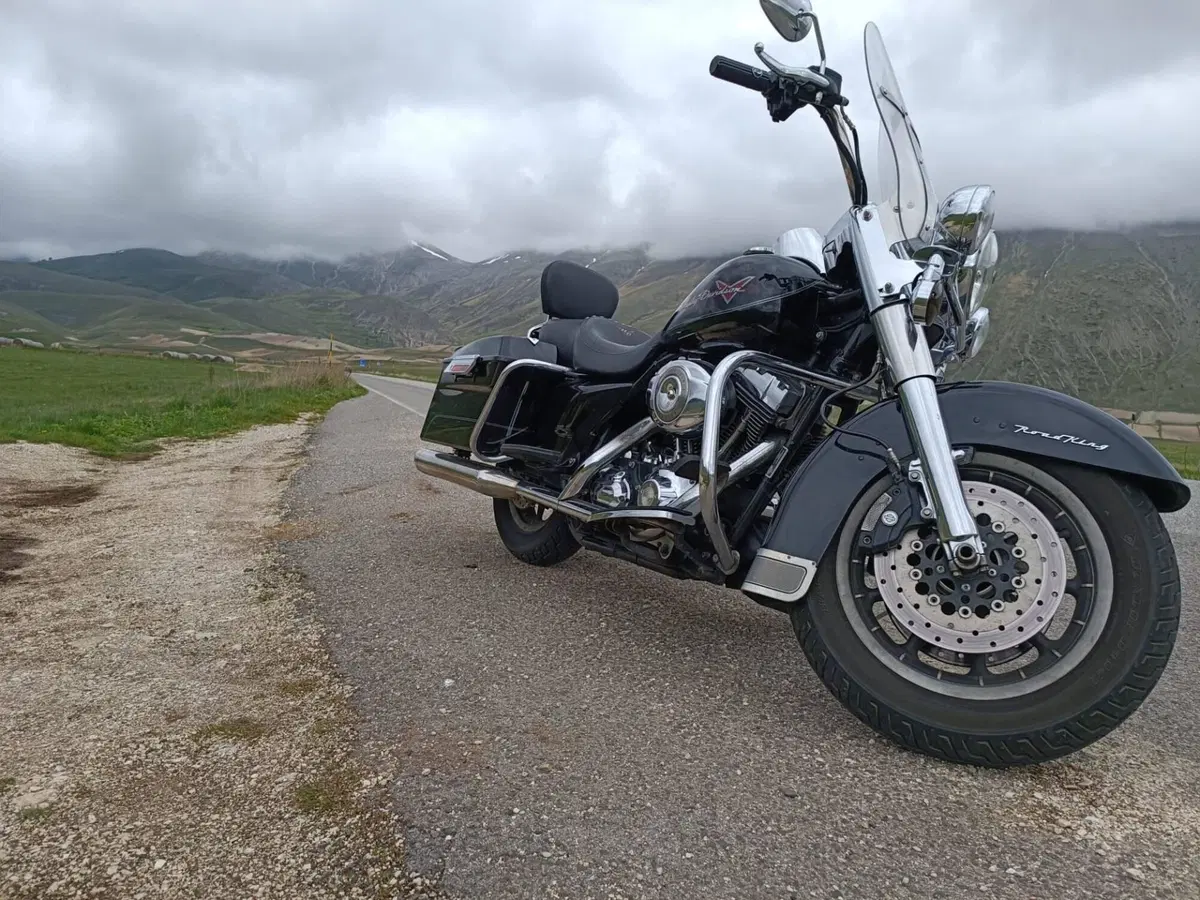 Harley-Davidson Road King CVO (2008) - FLHRSE4 (2)
