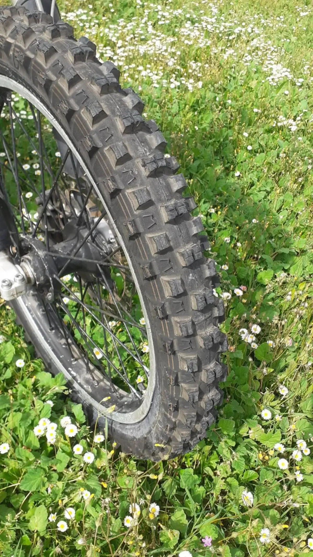 Husaberg FE 450 Force (2)