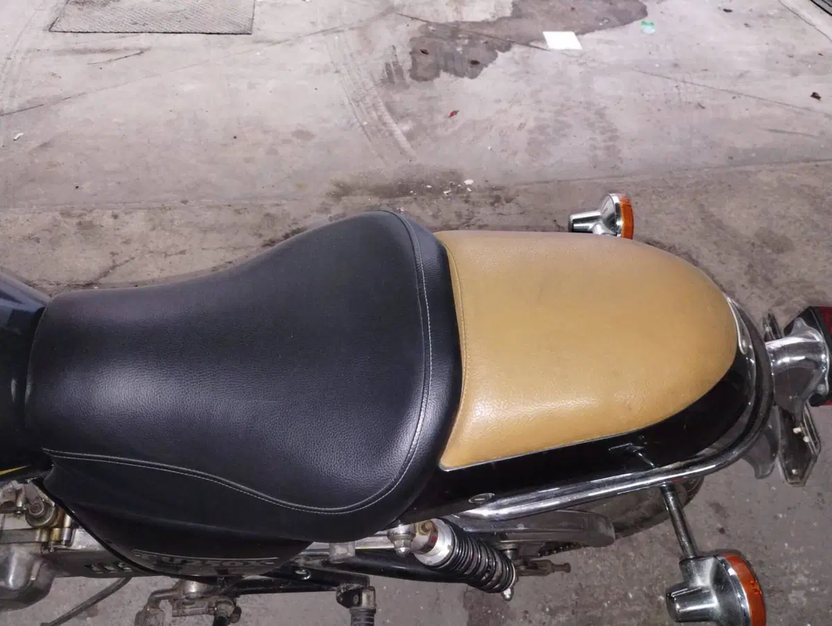 Suzuki TU 250 X (1997 - 03) (8)