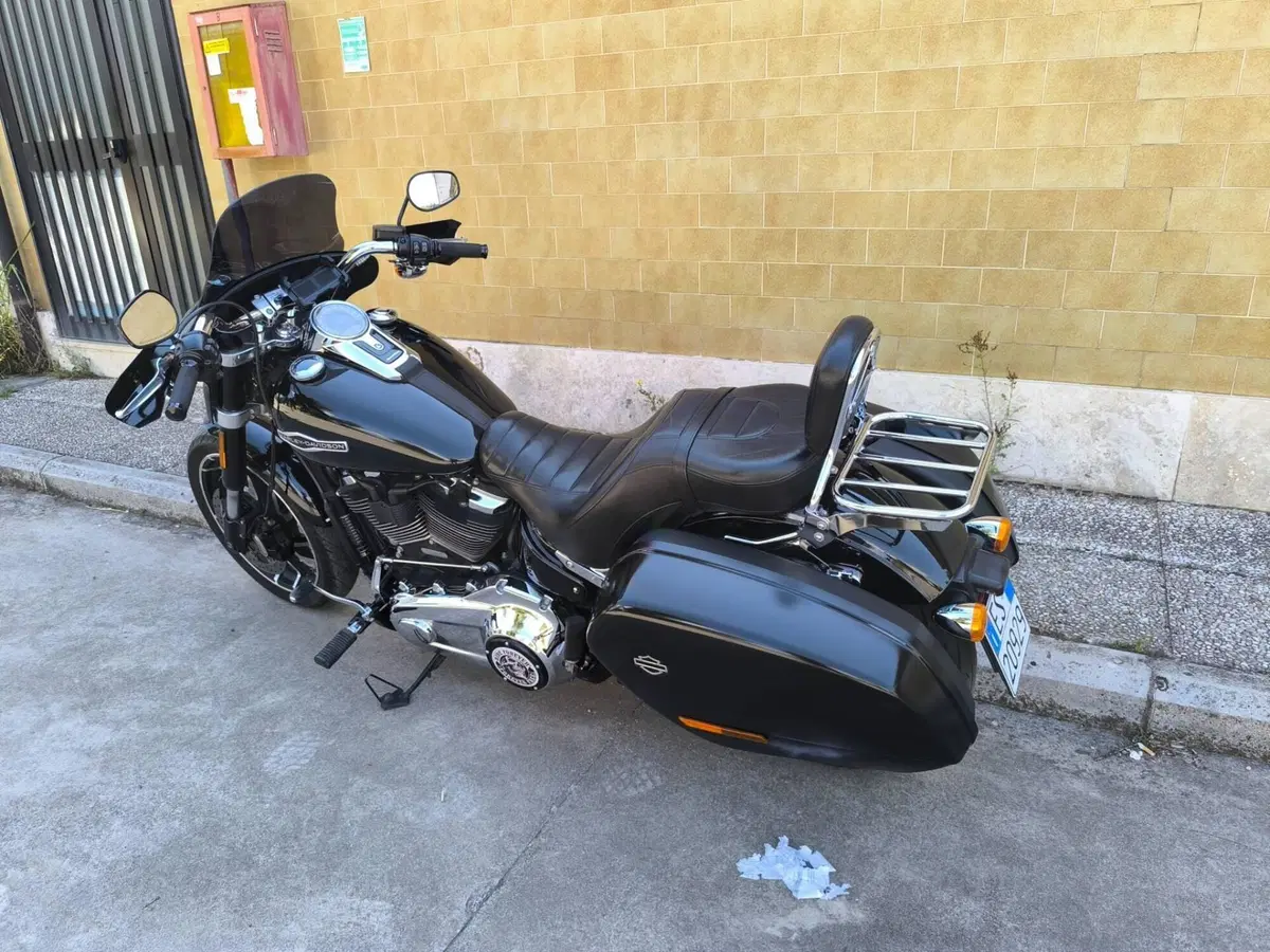 Harley-Davidson 107 Sport Glide (2018 - 20) (3)