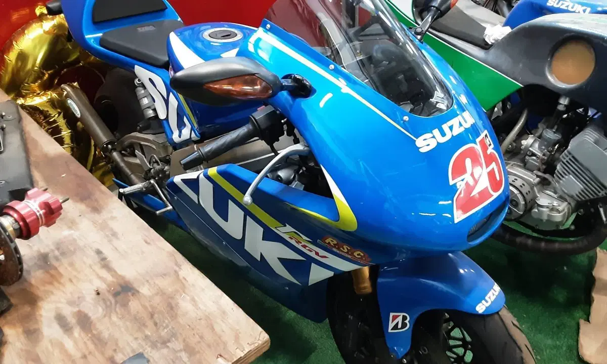 Suzuki RGV 250 (1989 - 97) (3)