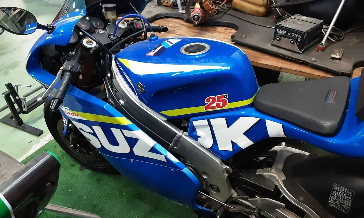Suzuki RGV 250 (1989 - 97) (4)