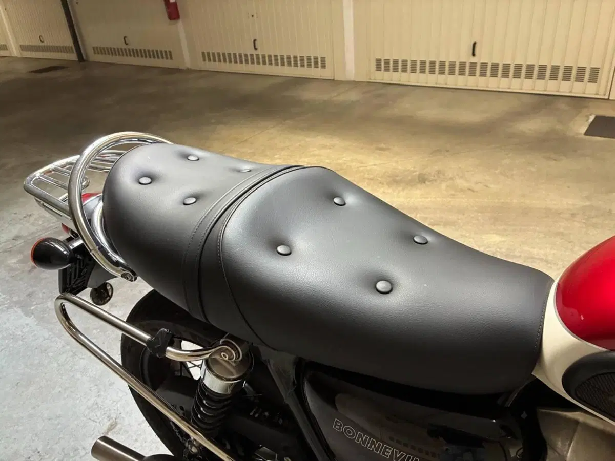 Triumph Bonneville T100 (2021 - 25) (4)