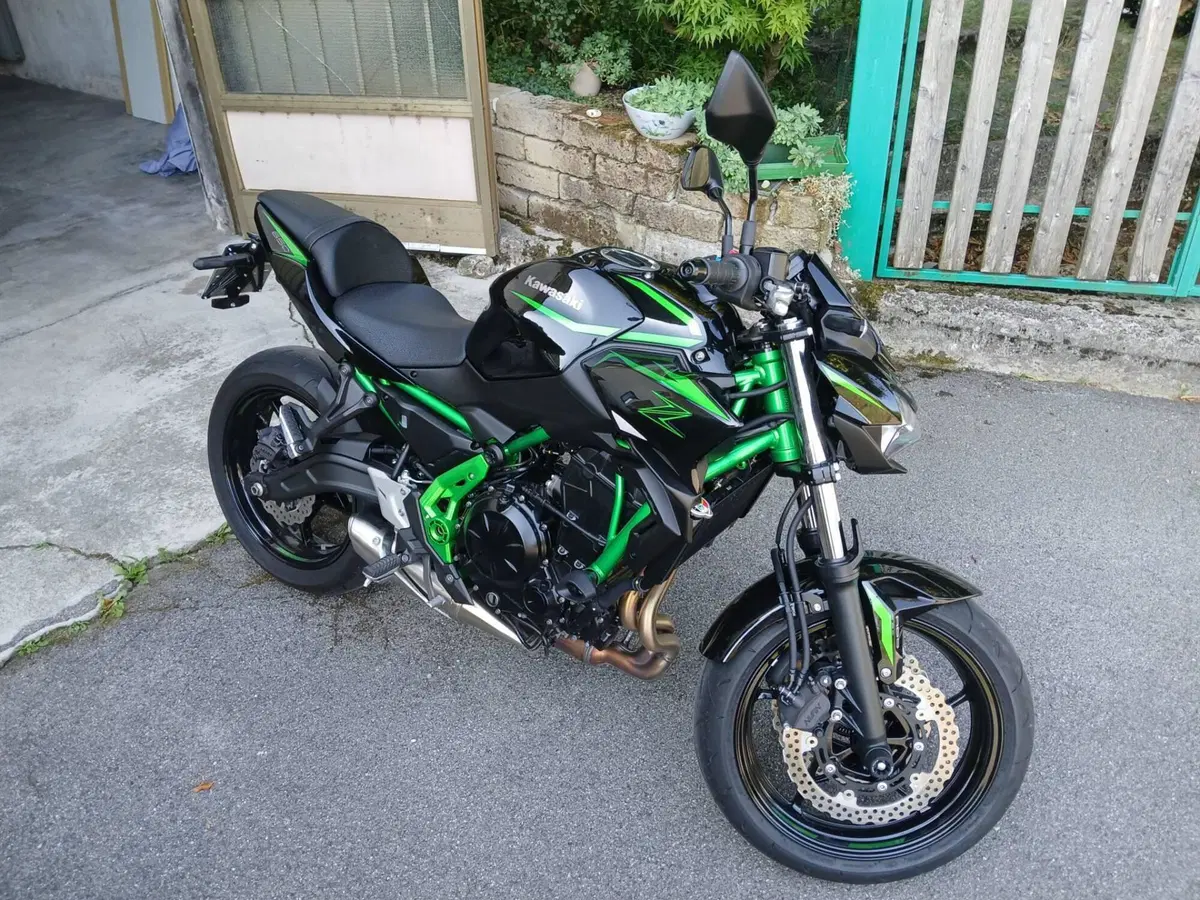 Kawasaki Z 650 (2021 - 24)