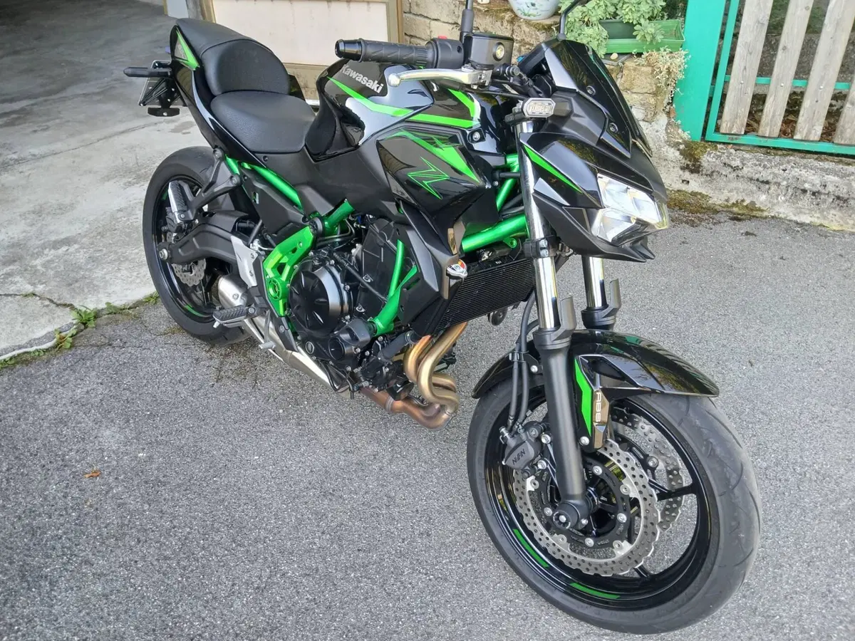 Kawasaki Z 650 (2021 - 24) (8)