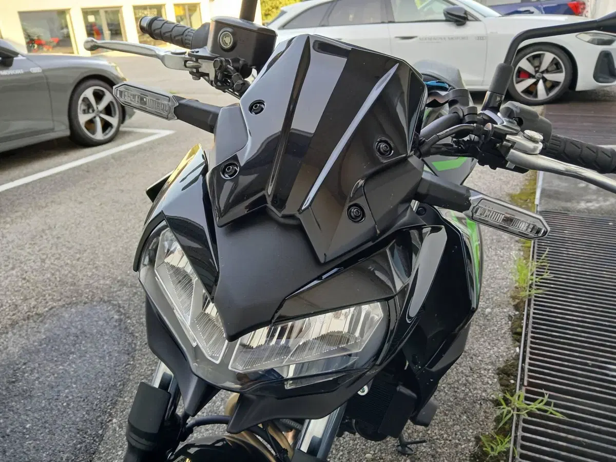 Kawasaki Z 650 (2021 - 24) (10)