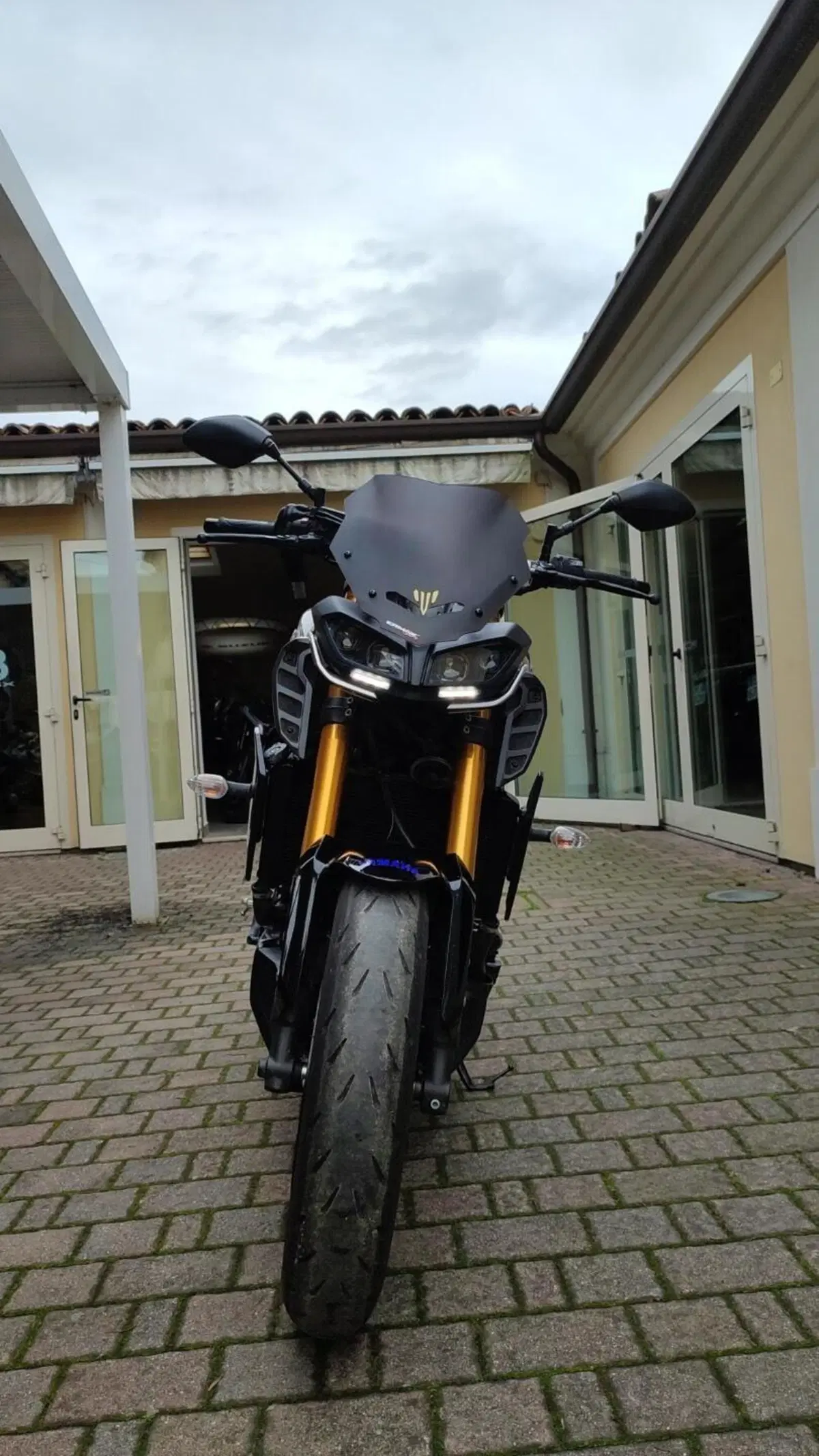Yamaha MT-09 SP (2018 - 20) (2)