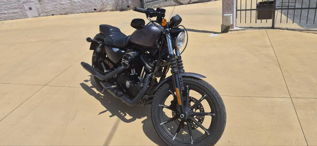 Harley-Davidson 883 Iron (2014 - 16) - XL 883N (7)