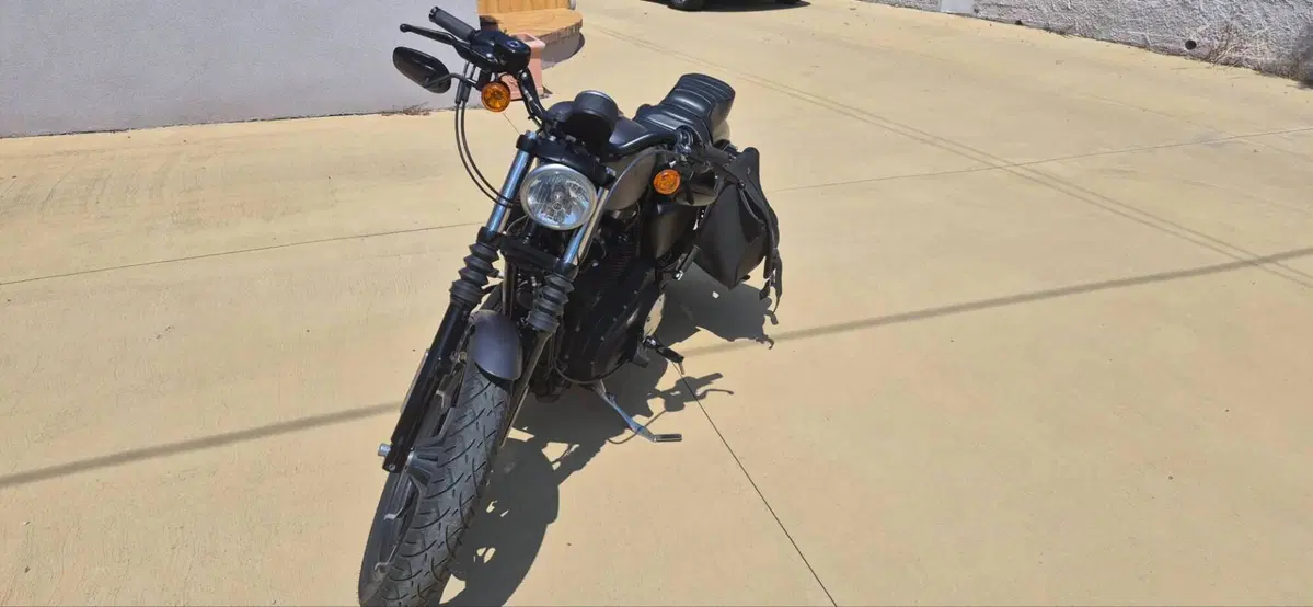 Harley-Davidson 883 Iron (2014 - 16) - XL 883N (8)