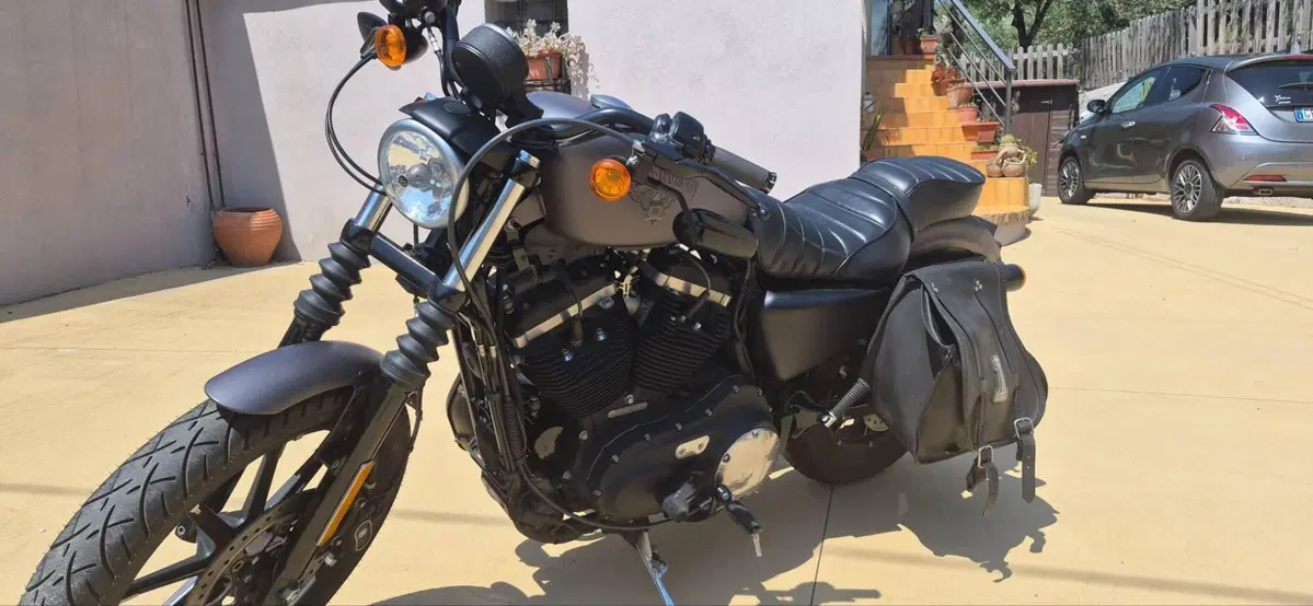Harley-Davidson 883 Iron (2014 - 16) - XL 883N (10)