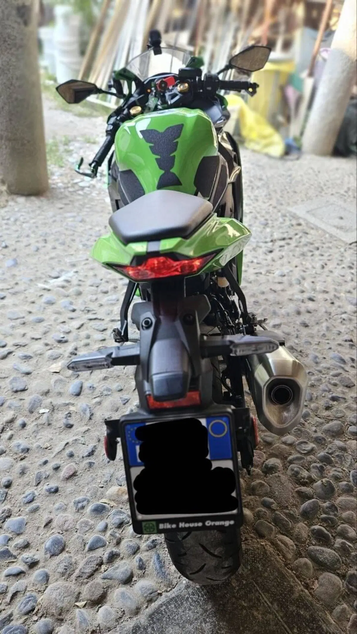 Kawasaki Ninja ZX-4R (2024 - 26) (4)