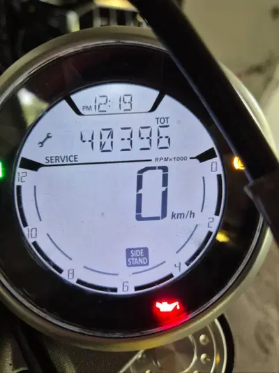 Ducati Scrambler 800 Icon (2015 - 16) usata