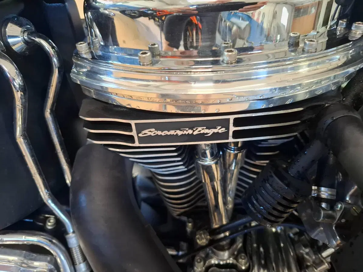 Harley-Davidson 1450 Heritage Springer (2000 - 03) - FLSTS (6)