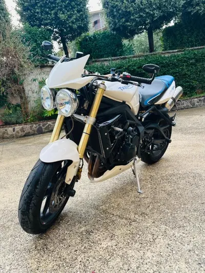 Triumph Street Triple (2007 - 12) usata