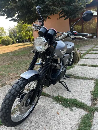 Triumph Scrambler (2006 - 17) usata