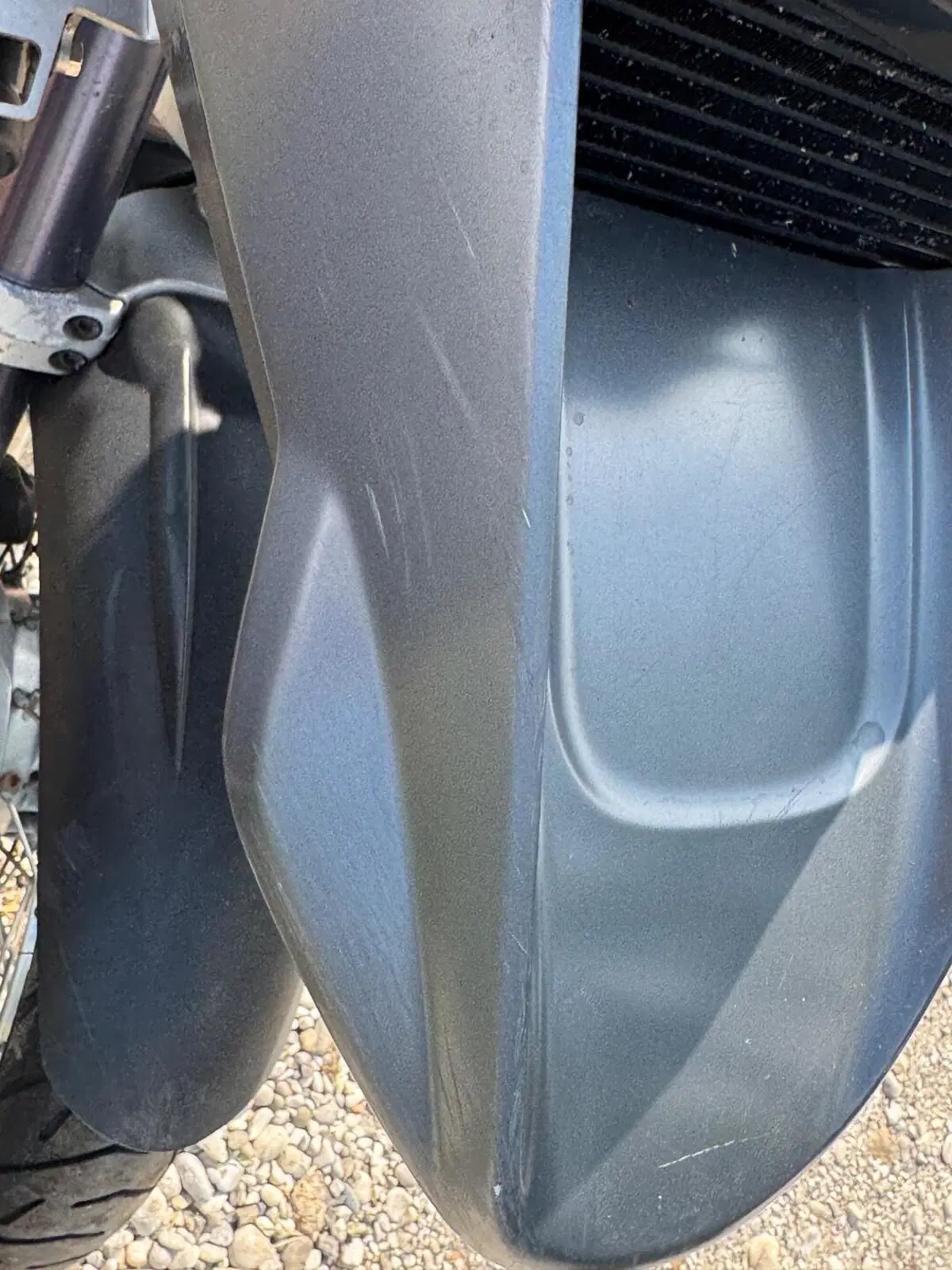 Bmw R 1150 GS ABS (1999 - 03) (7)