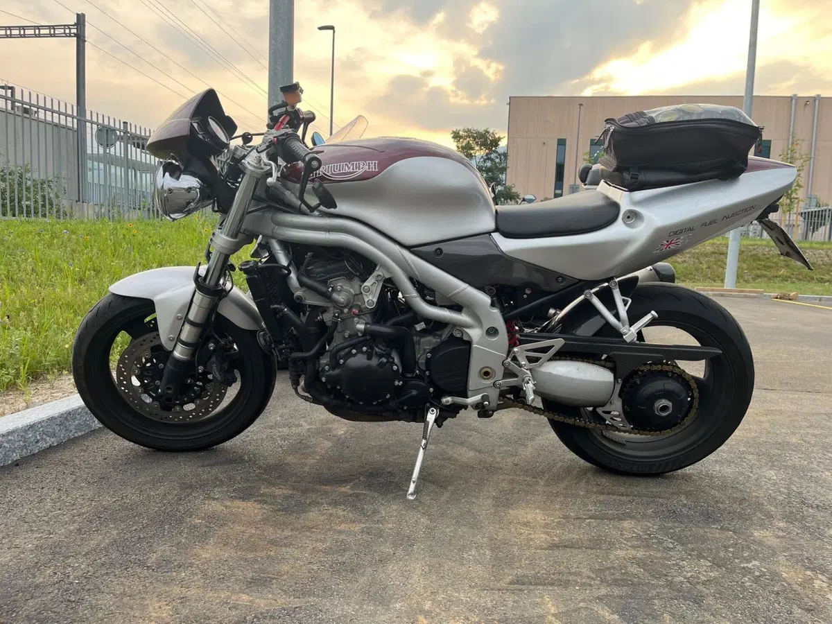 Triumph Daytona 955 I (1999 - 01) (2)