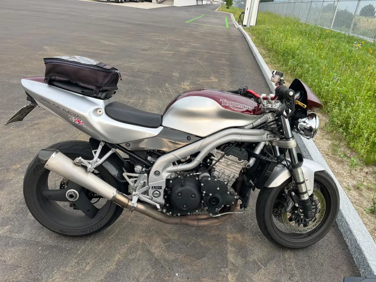 Triumph Daytona 955 I (1999 - 01) (4)