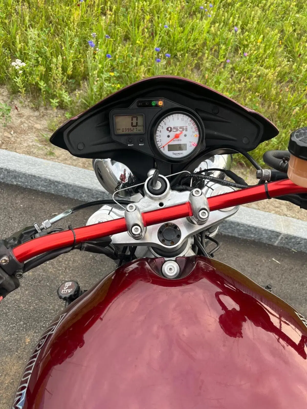 Triumph Daytona 955 I (1999 - 01) (5)