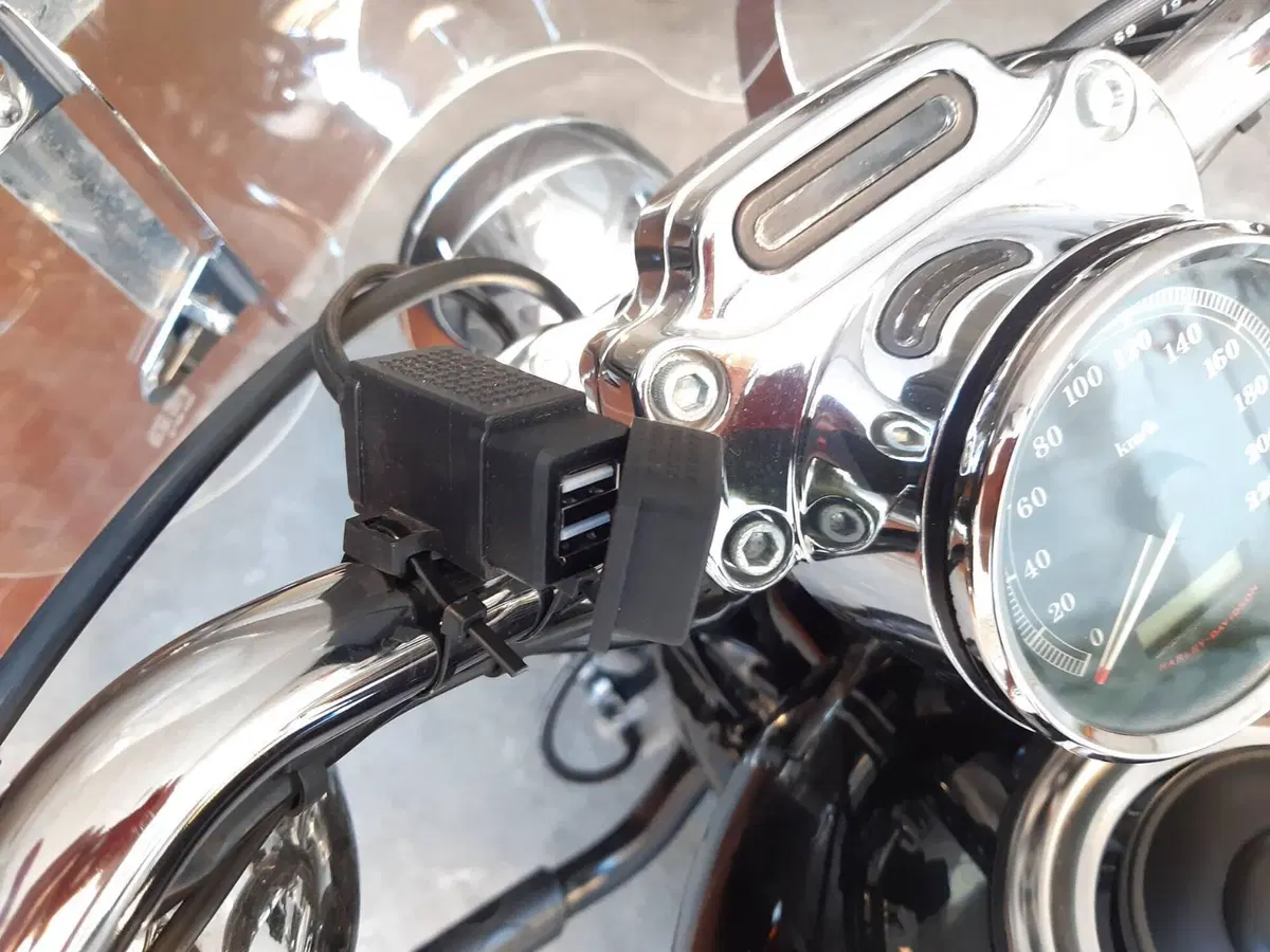 Harley-Davidson 1200 Custom (2007 - 13) - XL 1200C (11)