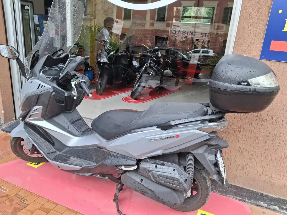 Sym Cruisym 300 (2021 - 24) (3)