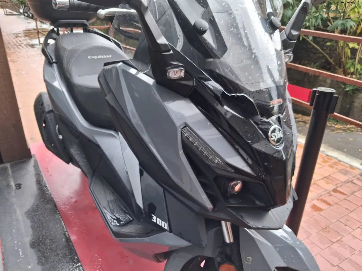 Sym Cruisym 300 (2021 - 24) (5)