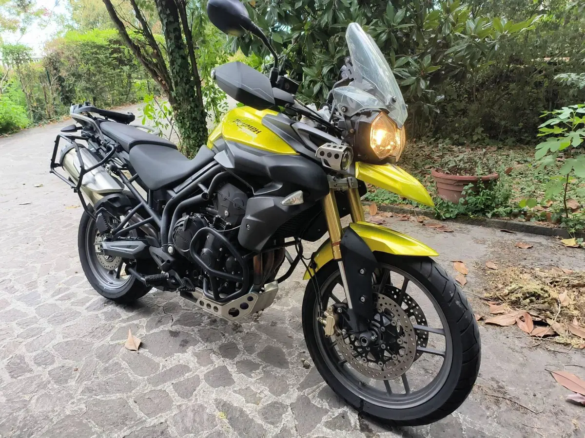 Triumph Tiger 800 ABS (2010 - 14) (2)