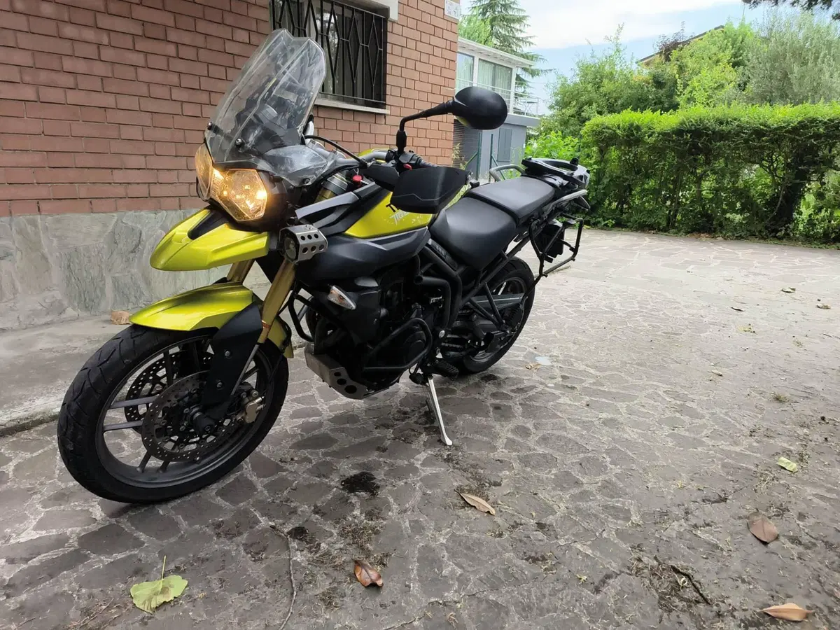 Triumph Tiger 800 ABS (2010 - 14) (4)