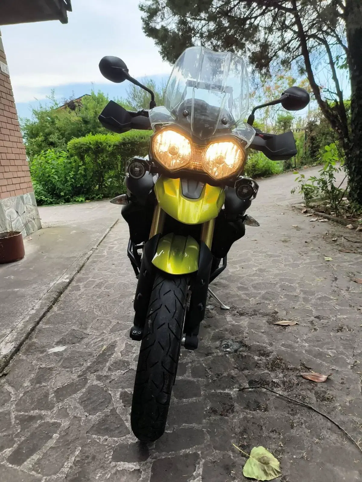 Triumph Tiger 800 ABS (2010 - 14) (5)