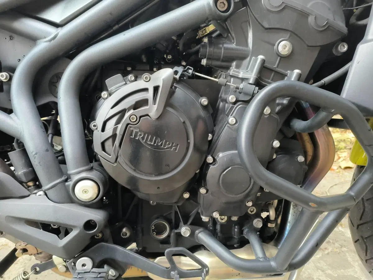 Triumph Tiger 800 ABS (2010 - 14) (10)