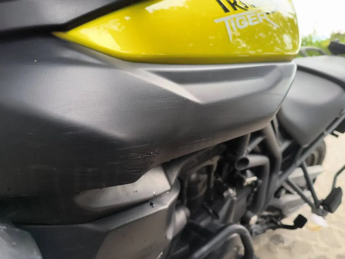 Triumph Tiger 800 ABS (2010 - 14) (11)