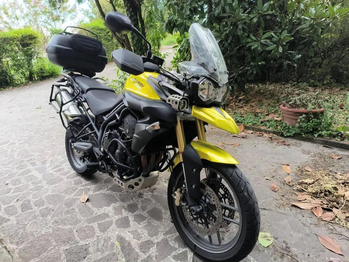 Triumph Tiger 800 ABS (2010 - 14) (14)