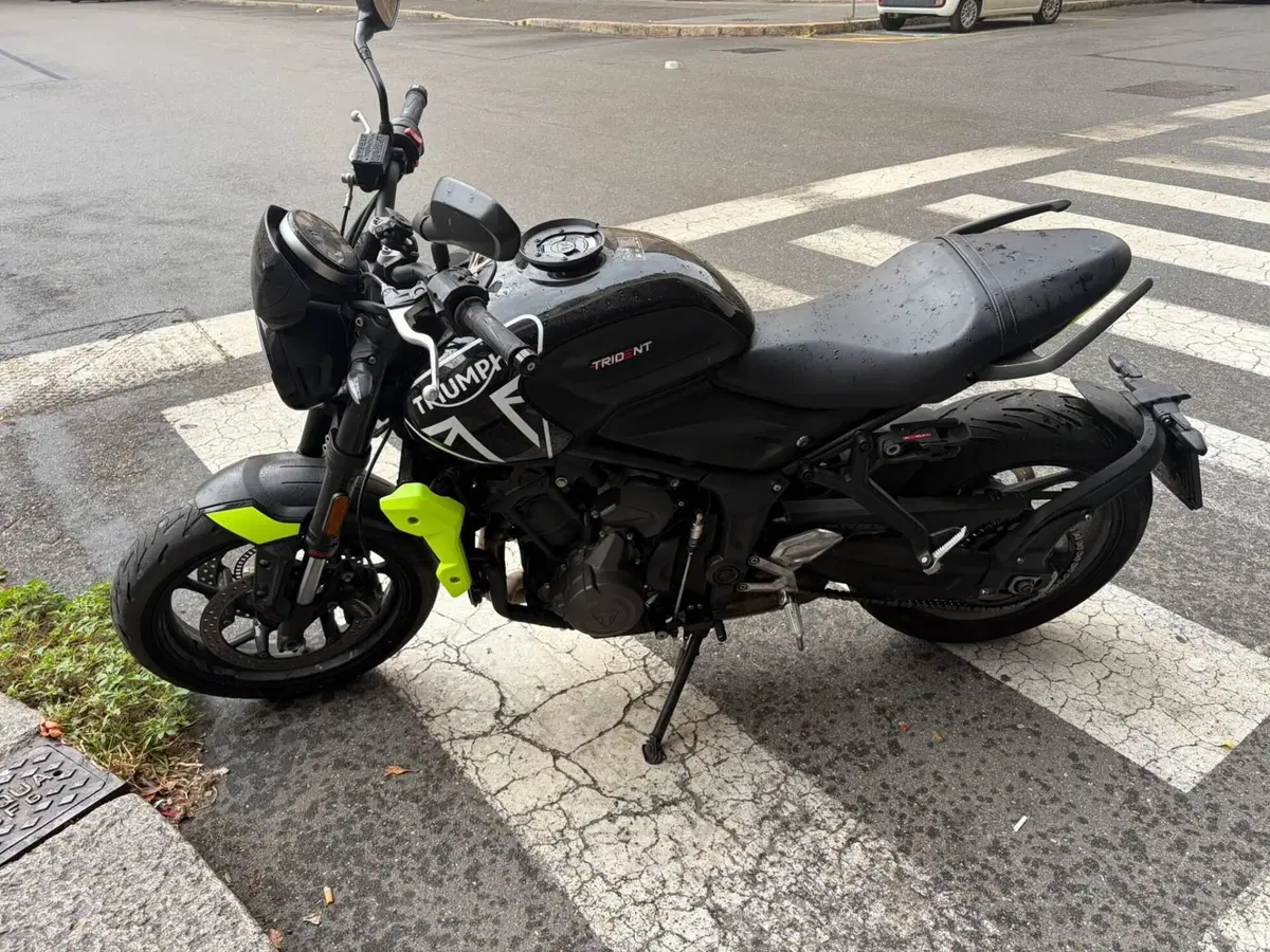 Triumph Trident 660 (2021 - 24)