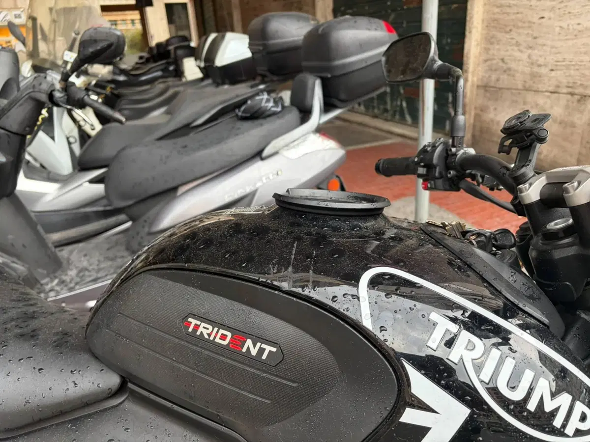 Triumph Trident 660 (2021 - 24) (4)