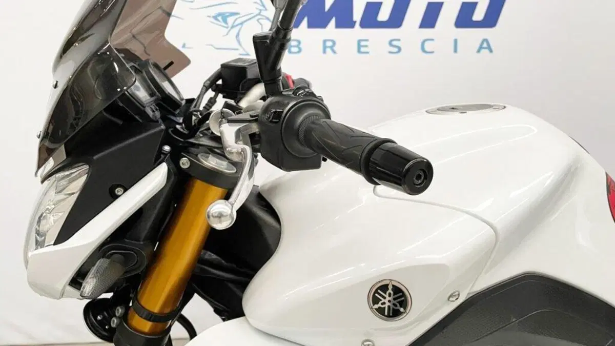 Yamaha FZ8 (2010 - 12) (9)