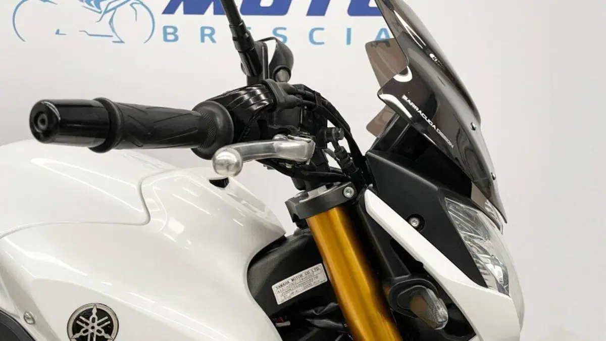 Yamaha FZ8 (2010 - 12) (12)