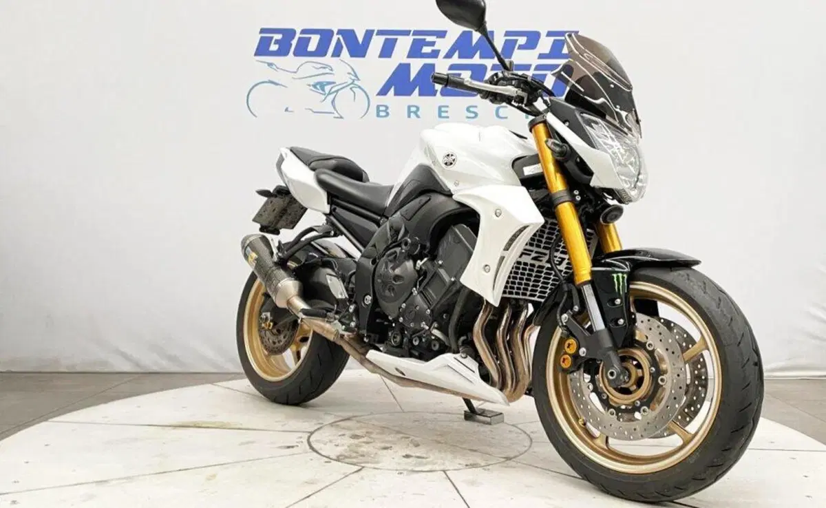 Yamaha FZ8 (2010 - 12) (19)