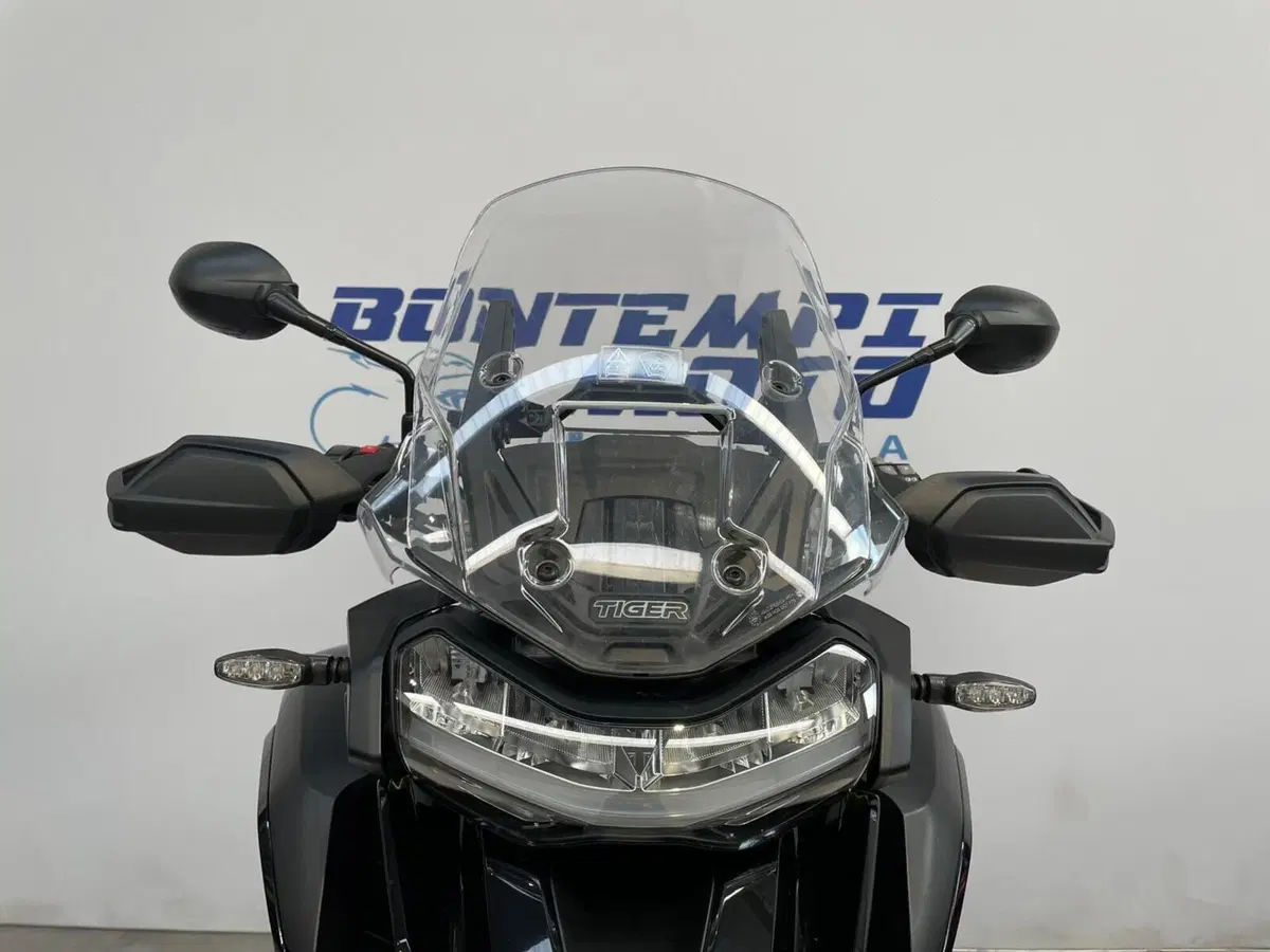 Triumph Tiger 1200 Rally Pro (2022 - 23) (4)