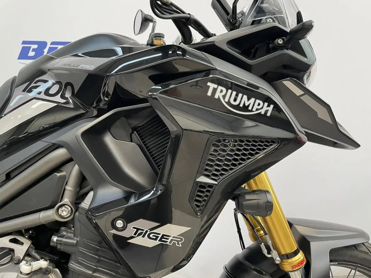 Triumph Tiger 1200 Rally Pro (2022 - 23) (8)
