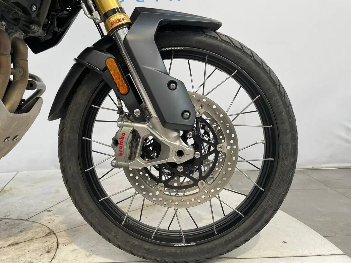 Triumph Tiger 1200 Rally Pro (2022 - 23) (9)