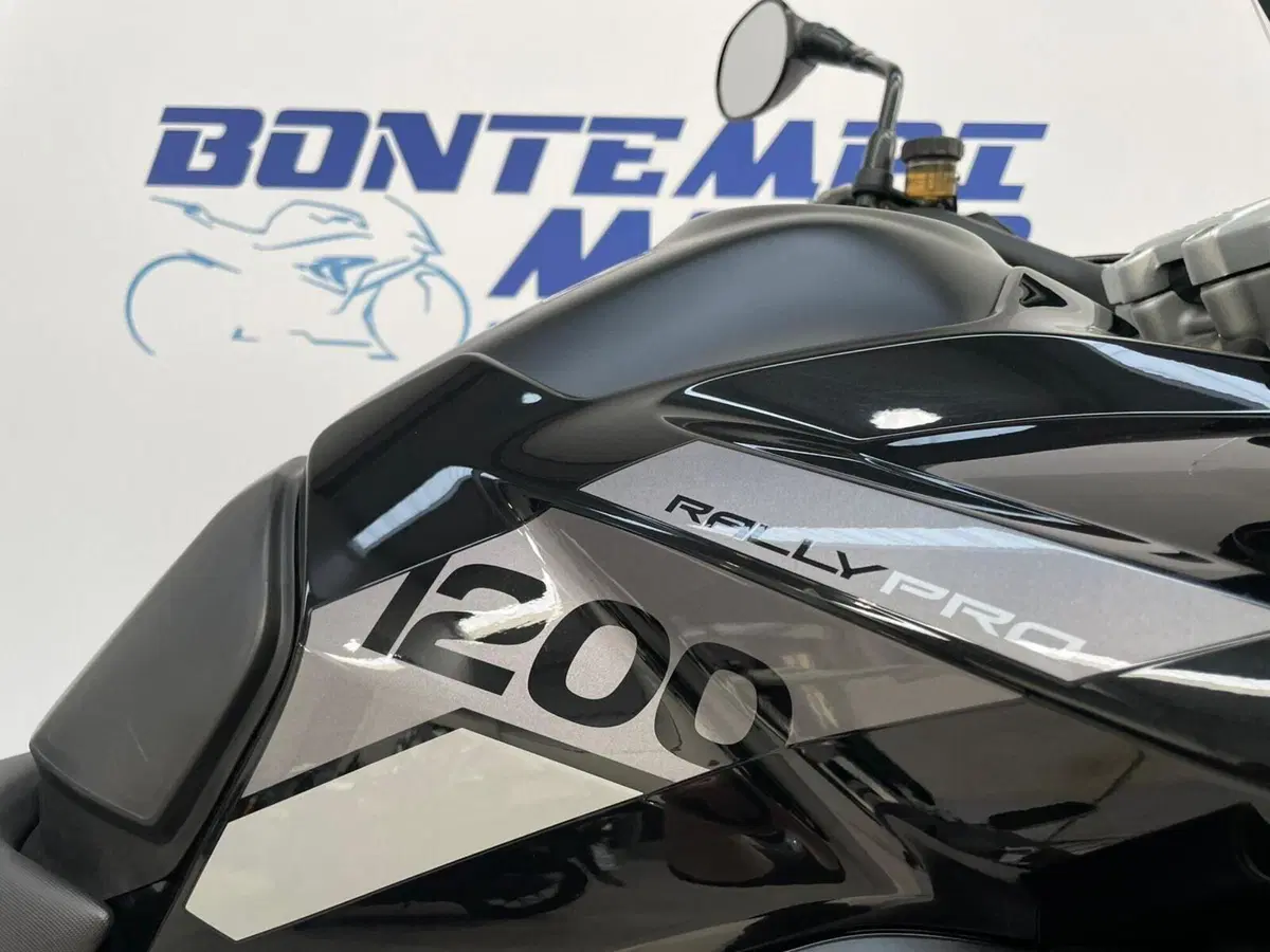 Triumph Tiger 1200 Rally Pro (2022 - 23) (10)