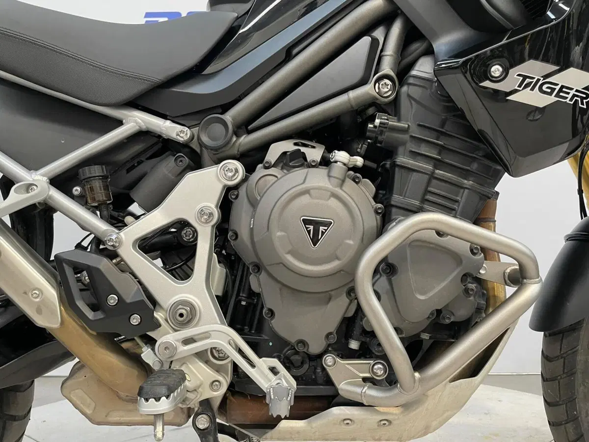 Triumph Tiger 1200 Rally Pro (2022 - 23) (12)