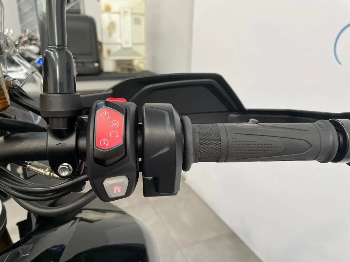 Triumph Tiger 1200 Rally Pro (2022 - 23) (15)